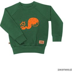 Bluzy dziewczęce: bluza pomarańczowa wiewiórka