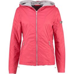 Kurtki damskie: Frieda & Freddies Kurtka wiosenna fruity red