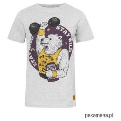 T - shirt Bear. Szare t-shirty męskie Pakamera, m, bez wzorów, z bawełny, bez kołnierzyka. Za 89,00 zł.