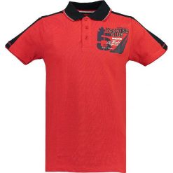 Koszulka polo w kolorze czerwono-czarnym. Czerwone koszulki polo męskie Canadian Peak, s, w paski, z bawełny, polo, bez rękawów. W wyprzedaży za 98,95 zł.