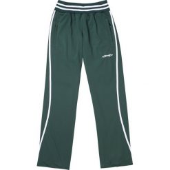 Bryczesy damskie: Stag Comfort treningowe spodnie - Kobiety - green_s