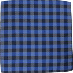 Elegancka, Męska Poszetka - ALTIES - Krata POSZALTTANIA0105. Niebieskie poszetki męskie Alties, bez wzorów, z materiału, eleganckie. Za 16,90 zł.