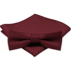 Modna Mucha Męska - Alties - Bordo, Delikatna Faktura MUALTS0228. Muszki męskie Alties, na imprezę, w paski, eleganckie. Za 39,00 zł.