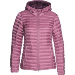 Bomberki damskie: Kjus WOMEN CYPRESS HOODED Kurtka puchowa mauve/potent purp