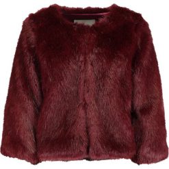 Kurtki damskie: Dry Lake COZY SHORT Kurtka zimowa dark red