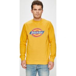 Dickies - Bluza. Pomarańczowe bejsbolówki męskie Dickies, l, z nadrukiem, z bawełny, bez kaptura. W wyprzedaży za 159,90 zł.