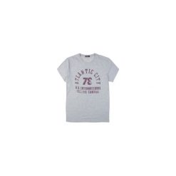 T-shirt męski. Szare t-shirty męskie marki TXM, m, bez wzorów, bez kołnierzyka. Za 15,99 zł.