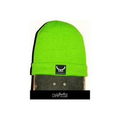 Czapki męskie: Czapka CHAPOOSIE GreenSkate Beanie