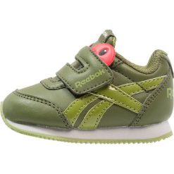 Trampki chłopięce: Reebok Classic ROYAL Tenisówki i Trampki wild green/moss/grey