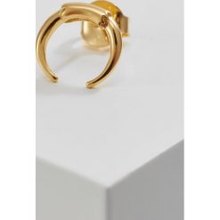 Kolczyki damskie: Maria Black TUSK STUD Kolczyki goldcoloured