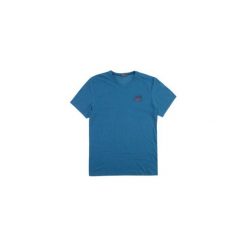 T-shirt krótki rękaw męski z printem. Szare t-shirty męskie TXM, m. Za 9,99 zł.