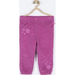 Coccodrillo - Spodnie dziecięce 68-86 cm. Różowe spodnie dziewczęce marki COCCODRILLO, z haftami, z bawełny, casualowe. W wyprzedaży za 54,90 zł.