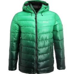 Kurtki sportowe męskie: Regatta AZUMA Kurtka zimowa darkest spruce
