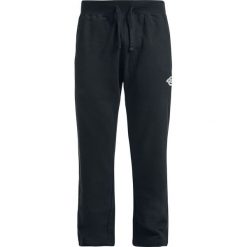 Spodnie dresowe męskie: Dickies Apple Springs Spodnie dresowe czarny