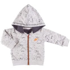 Ewa Klucze Bluza Chłopięca Dino 80 Pomarańcz/Szary. Szare bluzy chłopięce marki Ewa Klucze, z materiału. W wyprzedaży za 49,00 zł.