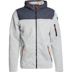 Kurtki sportowe męskie: Icepeak TED Kurtka z polaru light grey