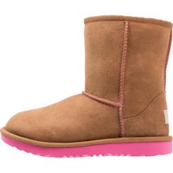 Botki damskie lity: UGG CLASSIC II Botki chestnut/pink azalea