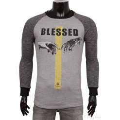 Męska bluza BLESSED GREY. Szare bluzy męskie Męska bluza BLESSED GREY, m, bez wzorów, bez kołnierzyka, bez rękawów. W wyprzedaży za 59,00 zł.
