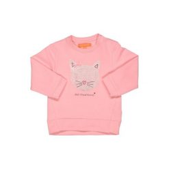 Staccato Girls Sweatjacke powder - różowy/pink - Gr.80. Różowe bluzy niemowlęce Staccato, z aplikacjami, z elastanu, bez rękawów, bez kaptura. Za 79,00 zł.