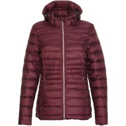 Kurtki damskie softshell: KILLTEC Kurtka damska Killtec - Nephala - 32461