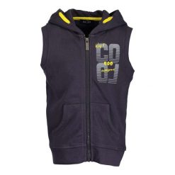Blue Seven Kamizelka Chłopięca 92 Niebieski. Niebieskie kurtki chłopięce Blue Seven, z napisami, sportowe. W wyprzedaży za 62,00 zł.
