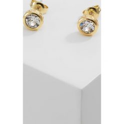 Biżuteria i zegarki: Ted Baker SINAA Kolczyki goldcoloured/crystal