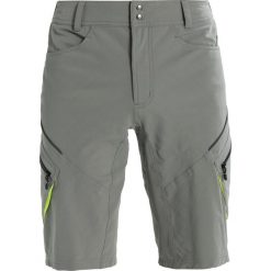 Spodenki i szorty męskie: Gore Wear TRAIL SHORTS Krótkie spodenki sportowe castor grey