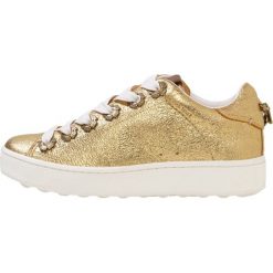 Trampki damskie slip on: Coach TEA ROSE EYELETS Tenisówki i Trampki gold/gold