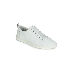Buty PLDM by Palladium BEGUIN. Białe trampki i tenisówki damskie PLDM by Palladium, bez wzorów, bez zapięcia. Za 319,20 zł.