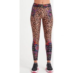 LEGGINSY VERSACE JEANS COUTURE. Spodnie damskie Versace Jeans Couture, z jeansu. Za 999,00 zł.