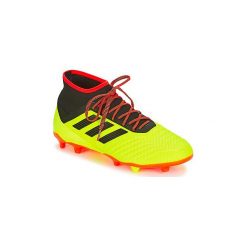 Buty skate męskie: Buty do piłki nożnej adidas PREDATOR 18.2 FG