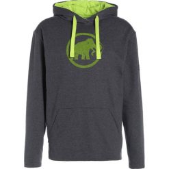 Bejsbolówki męskie: Mammut MAMMUT LOGO Bluza z kapturem graphite melange/sprout