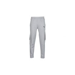 Spodnie treningowe Puma EVOSTRI CORE PANT. Szare spodnie męskie Puma, s, bez wzorów. Za 175,20 zł.