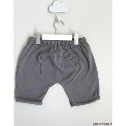 Teddybear bawełniane krótkie spodenki. Szare spodenki dziewczęce marki Pakamera, z bawełny, krótkie. Za 87,00 zł.