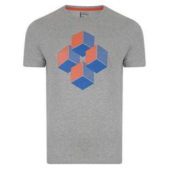 T-shirty chłopięce z nadrukiem: T-shirt w kolorze szarym