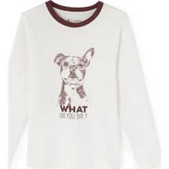 T-shirty chłopięce: Koszulka z psem 3-12 lat