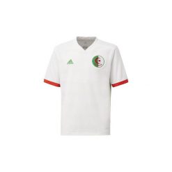 T-shirty z krótkim rękawem Dziecko adidas Koszulka podstawowa reprezentacji Algierii. Białe bluzki dziewczęce marki Adidas, z krótkim rękawem. Za 279,00 zł.
