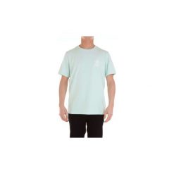 T-shirty z krótkim rękawem Franklin Marshall TSMF107ANS19. Szare t-shirty męskie Franklin Marshall, m, bez wzorów, bez kołnierzyka, krótkie. Za 219,57 zł.