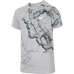 T-shirt chłopięcy (122-164) JTSM235 - szary melanż. Szare t-shirty chłopięce 4f, z nadrukiem, z materiału, bez rękawów. Za 39,99 zł.