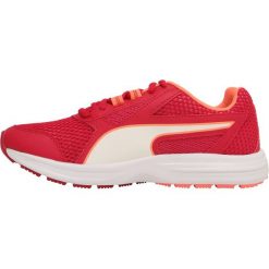Buty sportowe damskie: Puma ESSENTIAL RUNNER Obuwie do biegania treningowe love potion/puma white/nrgy peach
