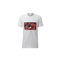 T-shirty z krótkim rękawem adidas Court Interview Tee. Białe t-shirty męskie Adidas, s, bez wzorów, bez kołnierzyka, krótkie. Za 179,00 zł.