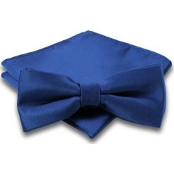 Granatowa, Lekko Błyszcząca Mucha + Granatowa Poszetka, Męska MUALTS0077. Niebieskie muszki męskie Alties, na imprezę, w paski, eleganckie. Za 39,00 zł.