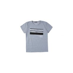 T-shirt krótki rękaw męski z printem. Szare t-shirty męskie TXM, m. Za 19,99 zł.