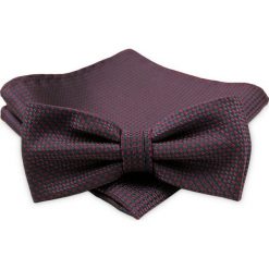 Granatowo -Bordowa Mucha - ALTIES - Męska, Taka Sama Poszetka MUALTS0332. Czerwone muszki męskie Alties, na imprezę, w paski, eleganckie. Za 39,00 zł.