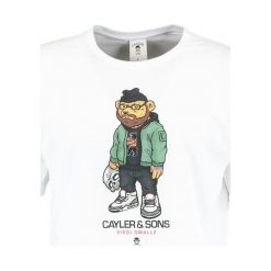 T-shirty męskie: Cayler & Sons SIGGI Tshirt z nadrukiem white
