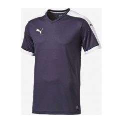 Puma Pitch Koszulka Niebieski. Niebieskie podkoszulki męskie Puma, xxl, bez wzorów, z poliesteru, bez kołnierzyka, z krótkim rękawem, krótkie. Za 85,95 zł.