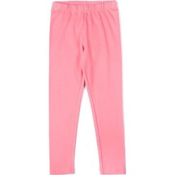 Legginsy dziewczęce: Coccodrillo – Legginsy dziecięce 104-146 cm