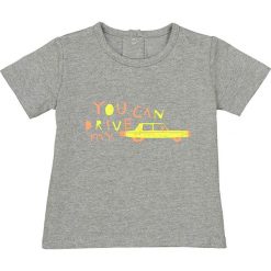 T-shirty chłopięce: T-shirt z krótkim rękawem z nadrukiem, 1 miesiąc – 3 lata