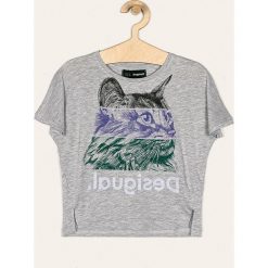 Desigual - T-shirt dziecięcy 104-164 cm. Szare bluzki dziewczęce Desigual, z nadrukiem, z elastanu, z okrągłym kołnierzem, z krótkim rękawem, krótkie, bez kaptura. Za 149,90 zł.