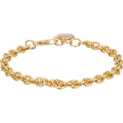 Bransoletki damskie na nogę: SNÖ of Sweden SPIKE SMALL Bransoletka gold